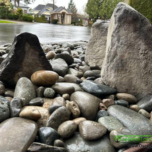  | On this job we did a large landscape and design job at a strata, with a ton of river rock, large and small plantings and some nice flagstone walkways and basalt boulders. | Landscape Designs & Renovations 